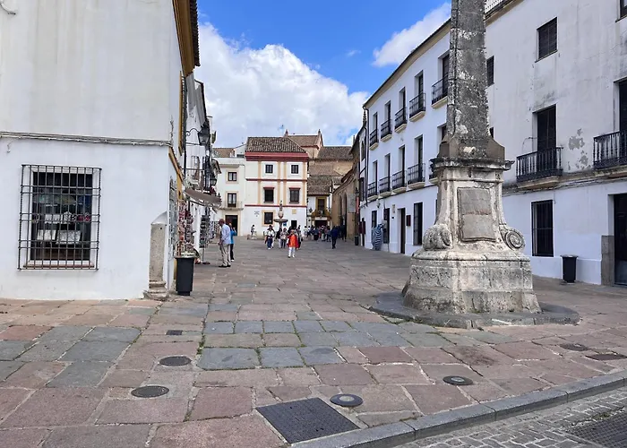 Mucho Trigo New Lejlighed